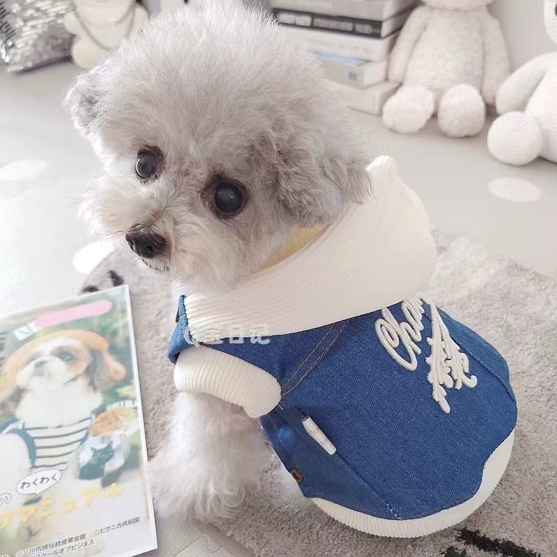 [Quần áo thú cưng cho chó mèo] Áo có mũ trùm đầu Denim Quần áo mùa đông Quần áo mùa thu