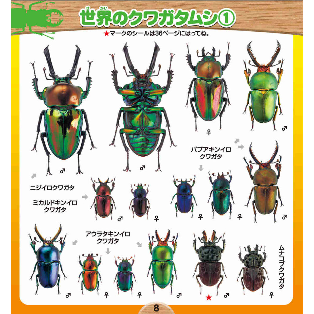 Shogakukan's Illustrated Encyclopedia NEO Beetles and Stag Beetles Seal (Complete Seal Book)ㅤDirect From Japan