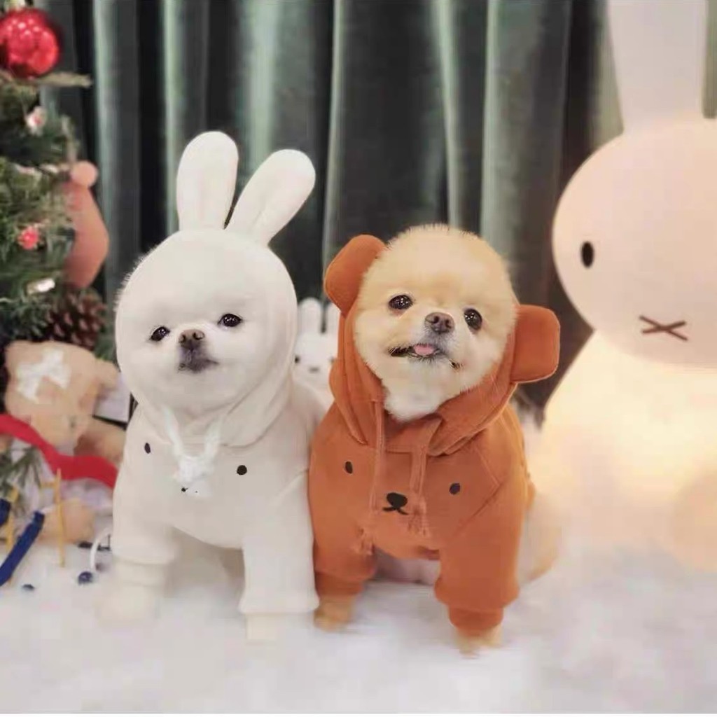 Quần áo thú cưng Puppy Mùa thu đông Áo có mũ trùm đầu dày