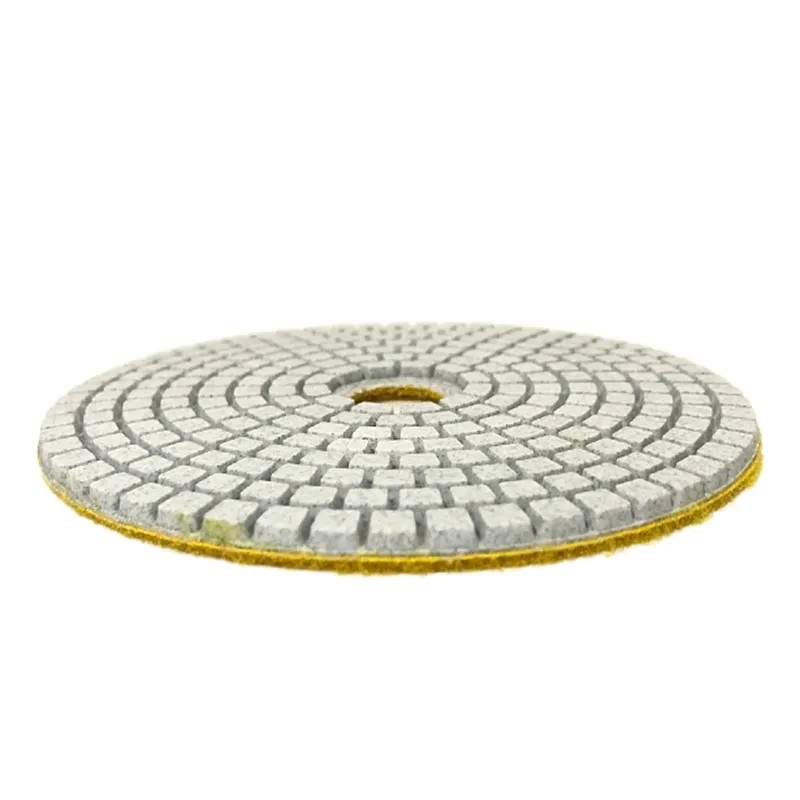 Đĩa mài đĩa chà nhám đánh bóng đá hoa cương , gạch , bê tông 100mm FE123