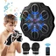 Máy đấm bốc âm nhạc thông minh FUHUIOT, Mục tiêu treo tường đấm bốc giảm tiếng ồn, Điều chỉnh âm lượng dày với găng tay đấm bốc Mục tiêu điện tử Boxing Người lớn / Trẻ em