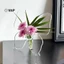 Bình hoa Acrylic trong suốt Phụ kiện sắp xếp hoa ba chiều Bình trang trí nhà cửa [mới]