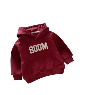 Áo nỉ hoodie nữ trùm đầu cho mùa thu đông