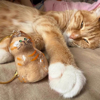 Mèo Dễ Thương Bảo Quản Tóc Móc Khóa Phụ Kiện Thú Cưng Tóc Quà Lưu Niệm Quà Tặng