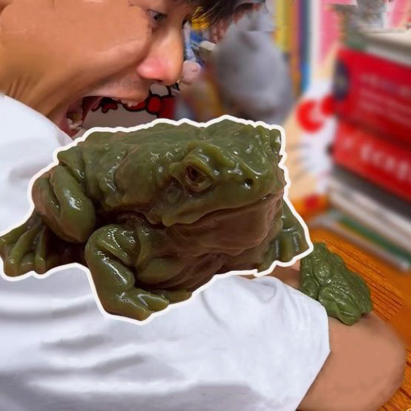 Ếch Prank Đồ Chơi Mô Phỏng Toad Vent Pinch Đồ Chơi Cao Su Mềm Căng Thẳng Đồ Chơi Làm Dịu