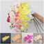 DWEL Phalaenopsis Hoa Lụa Cung Cấp Nhà Cây Cảm Ứng Thật