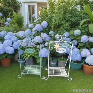 Sắt Chim Cây Đứng Vườn Cây Giữ Chắc Chắn Thiết Kế Mộc Mạc Giá Để Đồ Cho Ban Công Sân Sau Văn Phòng Tại Nhà Đám Cưới