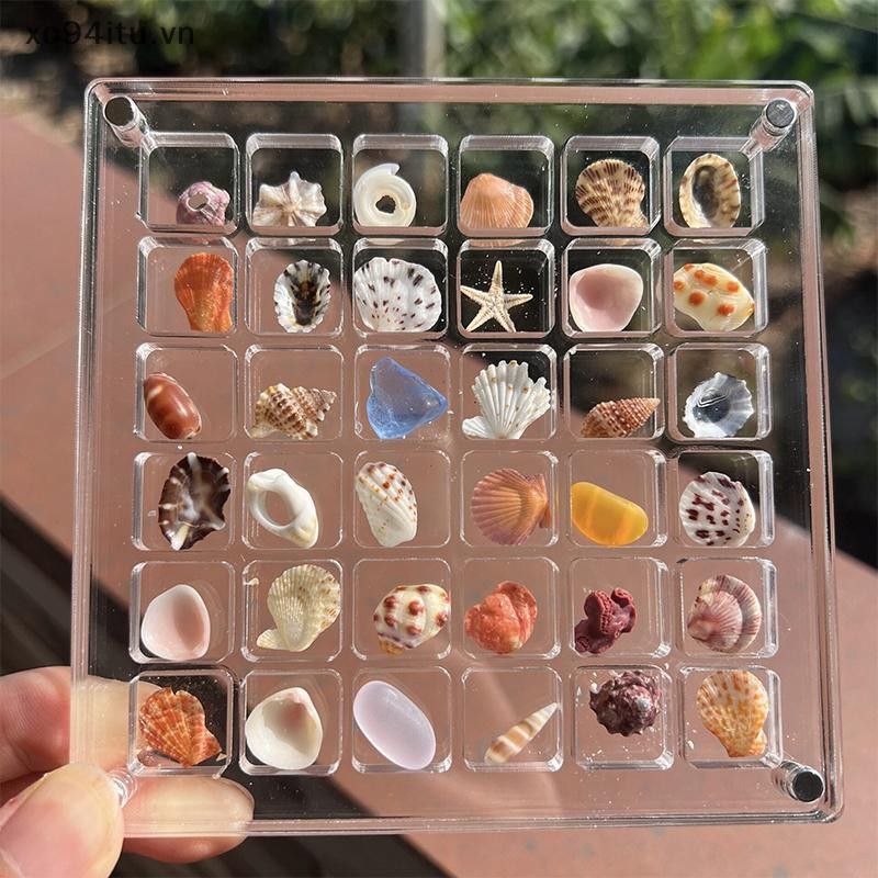XOITU Acrylic Từ Seashell Hộp trưng bày Seashell Clear Starfish Trinket Organizers 36 / 64 / 100 Lưới Hộp đựng vỏ sò VN