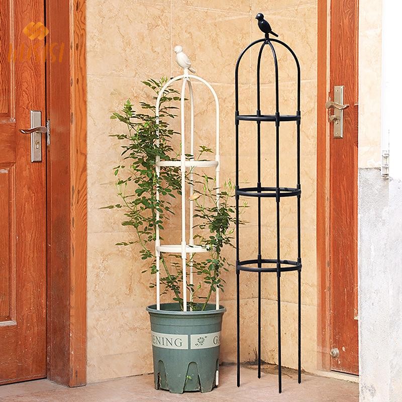 [Wusisi] 1 Bộ Cây Leo Trellis Lồng Hỗ Trợ Sân Vườn Cho Hoa Cây Khung Hỗ Trợ Trellis Leo Hoa Tự Làm Cây Nho Nồi Chân Đế MỚI
