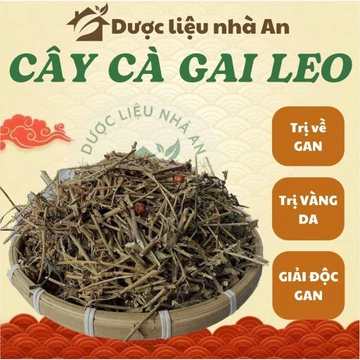 1kg CÂY CÀ GAI LEO/ cà lù, cà gai dây, cà quánh, khô sạch đẹp, loại 1 - dượċ liệu nhà An