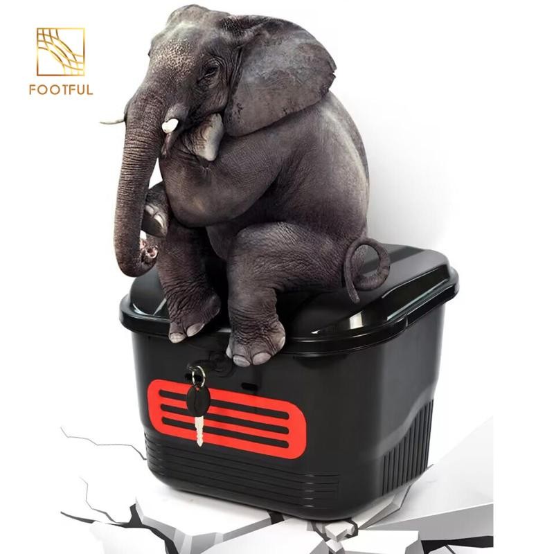 Giỏ Xe Đạp Giá Đựng Hàng Hóa Xe Đạp Làm Dày Đồ Lặt Vặt Tổ Chức Hộp Đựng Nước Giữ, Đồ Chơi, Đồ Ăn Nhẹ Xe Đạp Giỏ Trước
