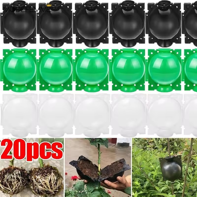 [H & L] 5 / 10 / / 20 Cái Vật Dụng Nhân Tạo Cây Chuyên Nghiệp | Quả bóng rễ có thể tái sử dụng Dung tích 0,8cm, Hệ thống phát triển rễ 3-6 tháng với thiết kế khóa tự động