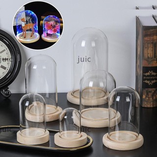 JUIC Chống Bụi Đèn Cổ Tích Trang Trí Nhà Terrarium Chai Trong Suốt Bình Thủy Tinh Hoa Hộp Bảo Quản