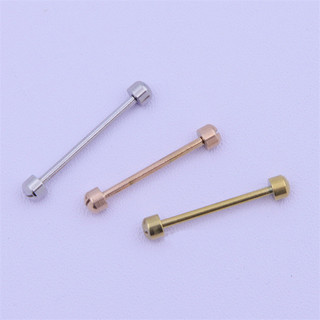 2 Chiếc Đồng Hồ Vít Kết Nối Thanh 14mm 16mm 18mm 20mm 22mm Thanh Thép Không Gỉ Cho Dây Đeo Đồng Hồ Có Rãnh Vít Ống Thanh Thân Phụ Kiện Đồng Hồ Phần Bạc / Vàng / Vàng Hồng