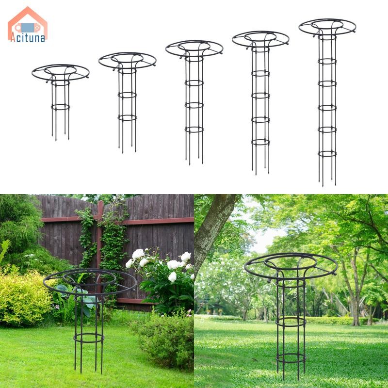 Vườn Obelisk Trellis Ngoài Trời Hoa Hỗ Trợ Lồng Bền Đa Năng