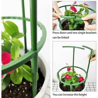 Bộ cổ phần hỗ trợ thực vật 12 gói Vòng hỗ trợ bằng nhựa nửa tròn Trellis Lồng cho hoa hồng Clivia Hydrangea Sử dụng chậu hoa trong nhà nhỏ gọn đơn giản tháo rời chắc chắn phù hợp dùng cho gia đình căn hộ văn phòng và không gian nhỏ