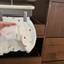 Bộ đồ mùa hè mới cho bé gái, áo ngắn tay và chân váy ngắn, cổ búp bê, áo hình trái tim và chân váy, bộ hai mảnh ngọt ngào