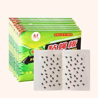 Keo Dính Ruồi Set 10 Cái Kích Thích Ruồi Miếng Dán Ruồi Côn Trùng Bọ Quán Ăn Nhà Ở Không Độc Hại - SUNND