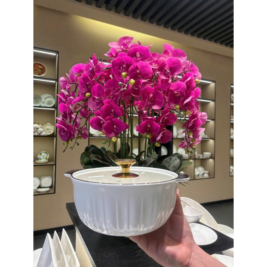 Âu đựng cơm, Canh Kích thước 25 cm, gồm các dung tích 1l, 1,5l, 2,4l Cao Cấp Màu Trắng