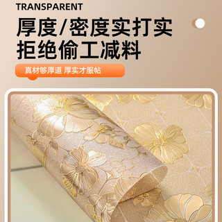 Bán chạy nhất [Bộ sưu tập người 787] Kính mềm dày chống bỏng Chống dầu Khăn trải bàn chịu nhiệt độ cao Thảm trải bàn vuông Hình chữ nhật Máy tính để bàn trong suốt Chống thấm nước