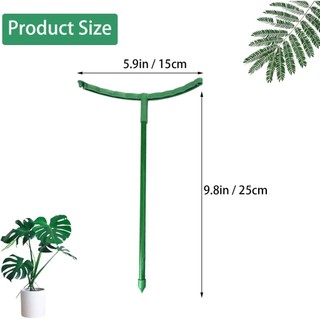 Bộ cổ phần hỗ trợ thực vật 12 gói Vòng hỗ trợ bằng nhựa nửa tròn Trellis Lồng cho hoa hồng Clivia Hydrangea Sử dụng chậu hoa trong nhà nhỏ gọn đơn giản tháo rời chắc chắn phù hợp dùng cho gia đình căn hộ văn phòng và không gian nhỏ