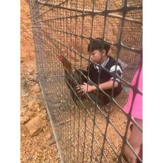 Loai 1: lưới nhựa cao 2m dài 50m ô 3x4cm hàng loại 1. lưới dùng trong chăn nuôi. làm hàng rào lưới dầy cao cấp