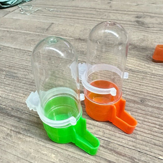 Cóng uống nước tự động dáng TRÒN chim chào mào nhựa, cóng đựng thức ăn cho chim dung tích lớn nhiều màu sắc