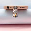 Phích cắm bụi Acrylic YT4 Tương thích với giao diện Lightning và giao diện hình elip Type-C