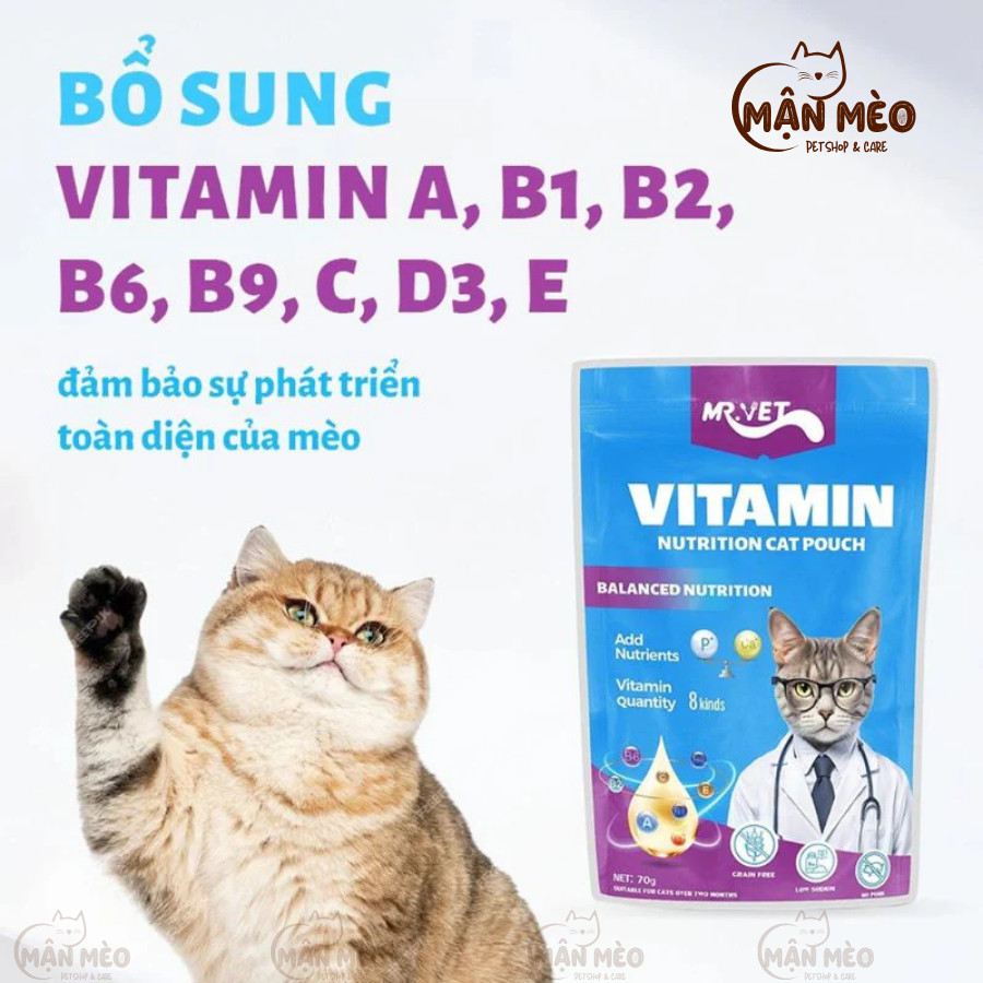 [COMBO 8 TÚI] Pate MRVET Cho Mèo, Pate Cho Mèo Từ Thịt Bổ Sung Các Dưỡng Chất Thiết Yếu Gói 70g