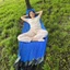 Võng lưới AWNGD, Lụa băng có túi đựng ghế xoay, Giường treo 200KG chịu lực rộng đơn ngoài trời