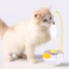 Đồ chơi mèo Xoay 360 độ Đồ chơi kẹp mèo có chuông Catnip cho ngoài trời trong nhà