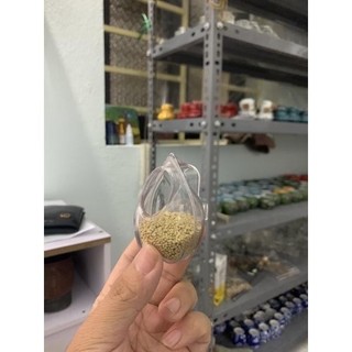 Cóng chống vẩy cho chim hút mật,khuyên cao cấp giá rẻ