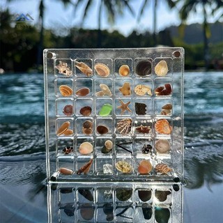 ELBBKG Acrylic Từ Seashell Hộp Hiển Thị Seashell Rõ Ràng Sao Biển Scepter Sắp Xếp 36 / 64 / 100 Lưới Vỏ Biển Hộp Bảo Quản Mới