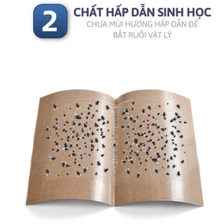 Keo Dính Ruồi Set 10 Cái Kích Thích Ruồi Miếng Dán Ruồi Côn Trùng Bọ Quán Ăn Nhà Ở Không Độc Hại - SUNND