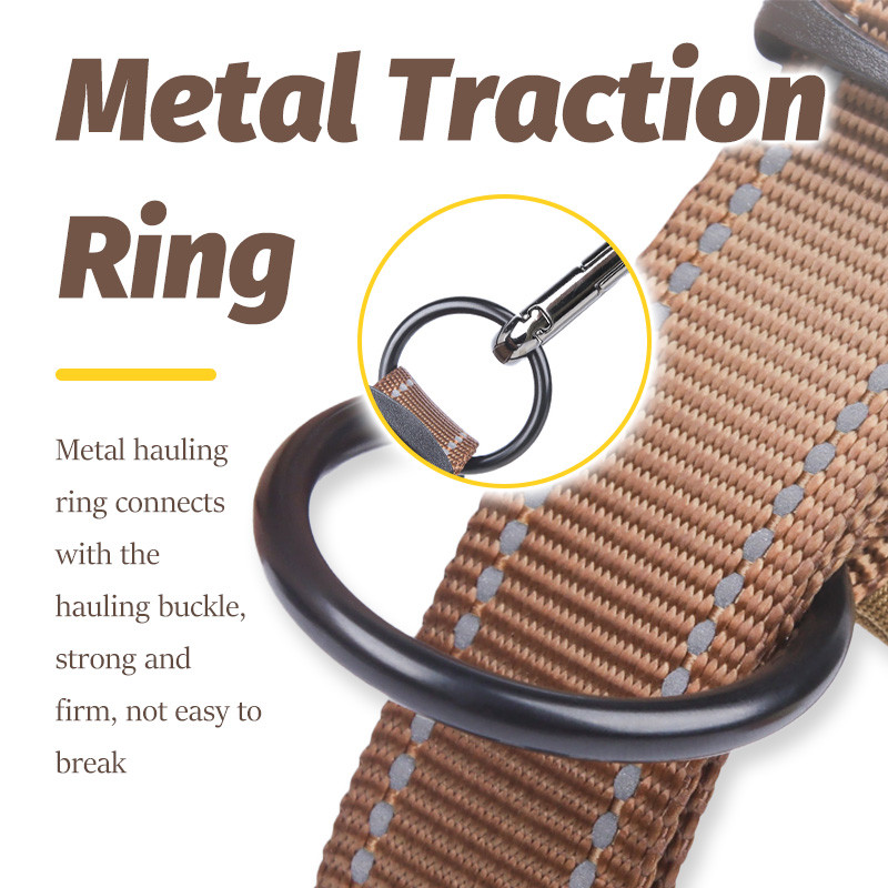 Cổ Thú Cưng Mềm Mại Thoáng Khí Lót Bền Webbing Thiết Kế Phản Quang Kim Loại D-Ring Tất Cả Các Giống Chó