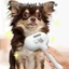 Top Pet Lược Pet Loose Short Hair Removal Tool Tẩy lông Dụng cụ tẩy lông Lược cầm tay