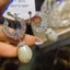 Hàn Quốc Thanh Lịch Ngọc Trai Ánh Sáng Hoa Sang Trọng Zircon Bông Tai Tua Rua Thời Trang