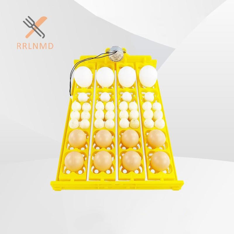 RRLNMD 8 / 22 / 36 Lỗ Máy ấp trứng tự động Khay đựng trứng gà Máy ấp trứng cho vịt Gia cầm ngỗng Chim Phụ tùng thay thế MỚI