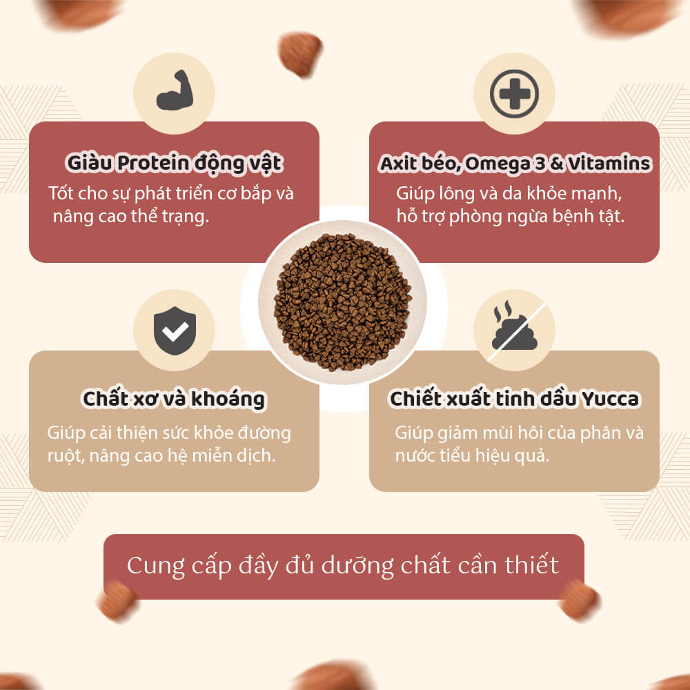 Hạt healthy choice cho chó trưởng thành giống vừa & lớn 1.5kg
