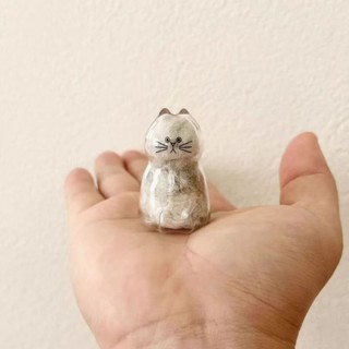 Mèo Hộp Bảo Quản Tóc Mèo Bảo Quản Tóc Thú Cưng Tưởng Niệm Mặt Dây Chuyền Mèo Móc Khóa Lưu Niệm