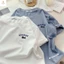 Áo phông form rộng tay lỡ chất vải cotton- -SHOPTHIBIO98