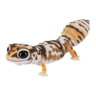 [BTF] BANDAI Capsule Toy Sách minh họa sinh học Gecko Gecko Lizard Armadillo Động vật mô phỏng B4V2S