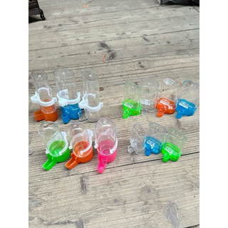 Cóng uống nước tự động dáng TRÒN chim chào mào nhựa, cóng đựng thức ăn cho chim dung tích lớn nhiều màu sắc