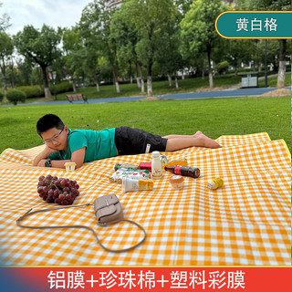 Thảm picnic ngoài trời chống dầu, kiểu dáng Ins, thảm picnic gập lại, chống nước, dùng một lần, di động, LCT2