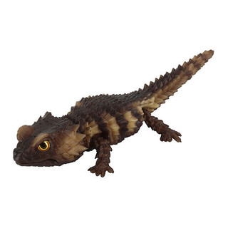 [BTF] BANDAI Capsule Toy Sách minh họa sinh học Gecko Gecko Lizard Armadillo Động vật mô phỏng B4V2S