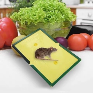 Bảng keo chuột dính chắc S / L - Dụng cụ bắt côn trùng chuột gây hại hiệu quả cao - Bẫy diệt chuột không độc hại trong nhà