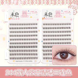 240 cụm mi dung tích lớn, cong tự nhiên, từng cụm mi tinh tế