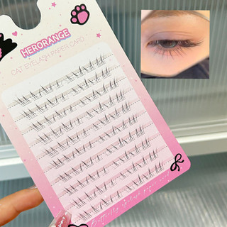Không Cần Keo DIY Lông Mi Giả Đáy Đen Cụm Mi Cho Acation Salon Chụp Ảnh