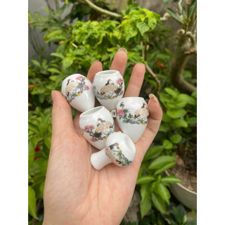cóng chim hút mật decal, Cóng khuyên, cóng sứ dùng chim vành khuyên, cóng khuyên vẽ tay, cóng tàu