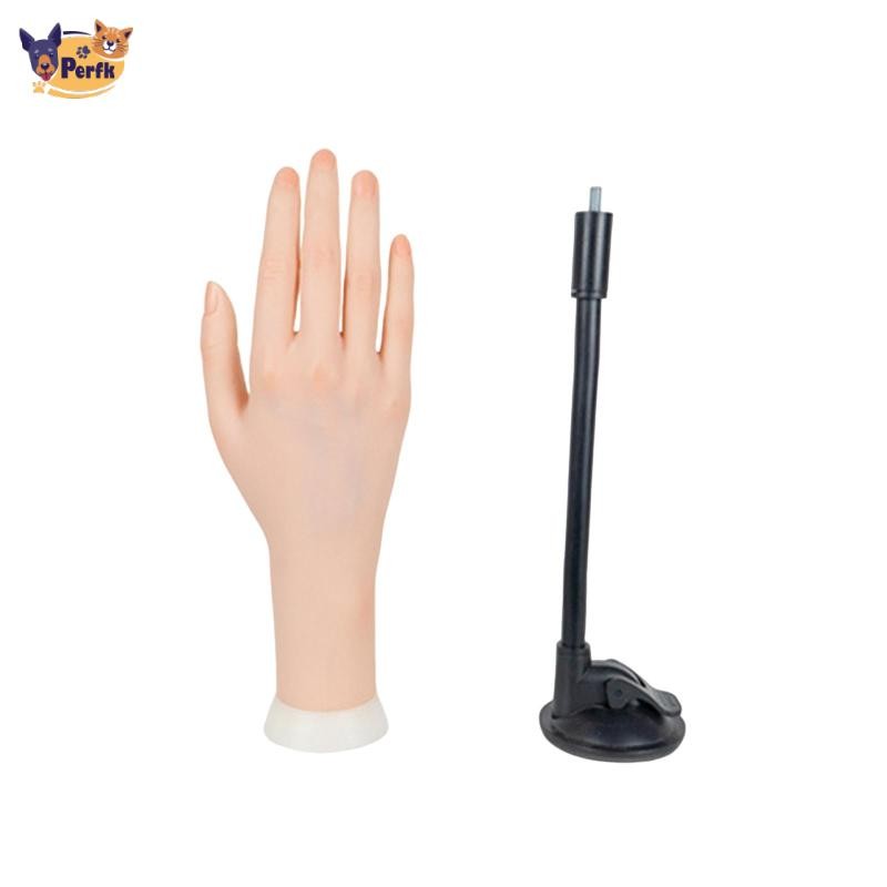 Giá đỡ cố định tay nhân tạo để thực hành làm móng